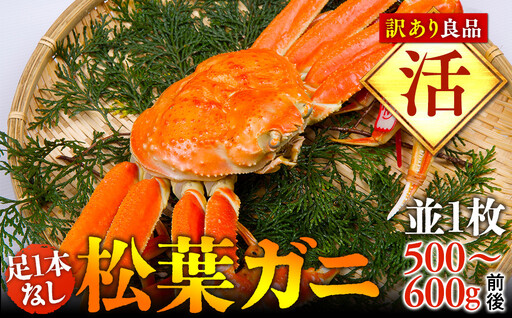 [活]足1本なし 訳あり松葉ガニ 並1枚(500〜600g前後)[着日指定不可]※2026年11月上旬〜2027年3月下旬頃に順次発送予定