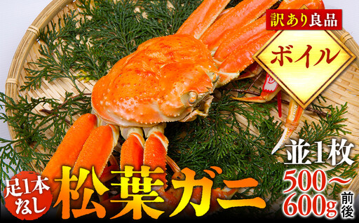 [ボイル]足1本なし 訳あり松葉ガニ 並1枚(500〜600g前後)[着日指定不可]※2026年11月上旬〜2027年3月下旬頃に順次発送予定