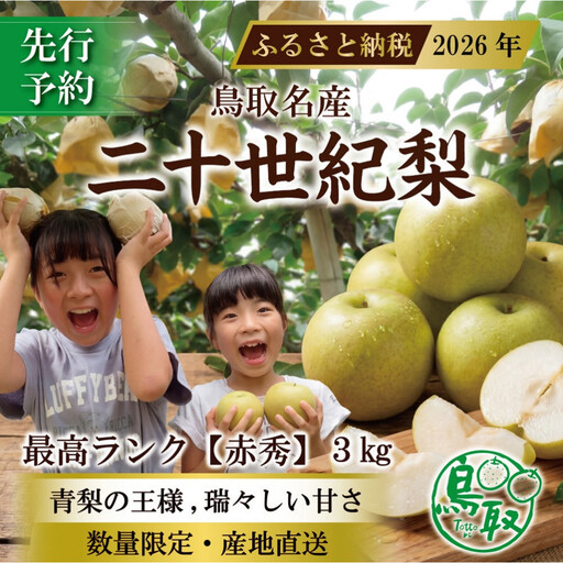 [2026年8月下旬より発送]三ツ田農園 二十世紀梨 (赤秀)ギフト用3kg