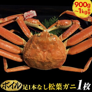 [ボイル]足1本なし松葉ガニ 特大1枚(900g〜1kg前後)[着日指定不可] ※2024年11月上旬〜2025年3月下旬に順次発送予定[かに カニ 蟹]