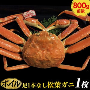 [ボイル]足1本なし松葉ガニ 大1枚(800g前後)[着日指定不可] ※2024年11月上旬〜2025年3月下旬頃に順次発送予定[かに カニ 蟹]