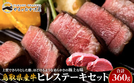18.鳥取県産牛 ヒレ ステーキ セット 3枚 計360g | ステーキ