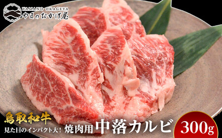 57.鳥取 和牛 焼肉 用 中落 カルビ 300g | カルビ