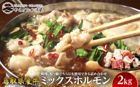72.鳥取県産 牛 ミックス ホルモン 2kg | ホルモン