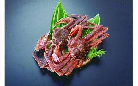 y{Cz^Ot tKj 2  | t Jj 󂠂芈   󂠂 s łȂՂ 2025N11{`2026N3{ɏ\