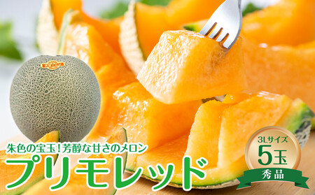 739.【先行予約】【ＪＡ】大栄メロン　プリモレッド（赤肉）赤秀3Ｌ×5玉　※着日指定不可　※離島への配送不可　※2025年9月末頃～10月下旬頃に順次発送予定