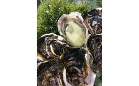 128.鳥取県産 天然岩ガキ『夏輝』 おまかせ3kg(約7〜12個) 牡蠣 カキ ※1個の重さによって個数が変わります ※着日指定不可※2025年6月上旬〜8月中旬頃に順次発送予定