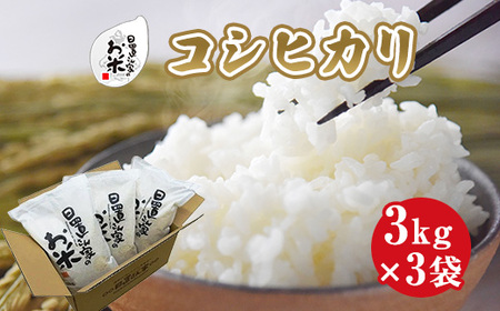 日置さん家のお米「コシヒカリ」3kg×3袋【玄米・2024年産】