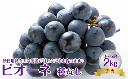 �y��s�\��z�y�i�`�z �s�I�[�l �i��Ȃ��j �ԏG2kg���i3�`5�[���j �������w��s�@�������ւ̔z���s�@��2026�N8�����{���`8�����{���ɏ��������\��   | �Ԃǂ� �s�I�[�l