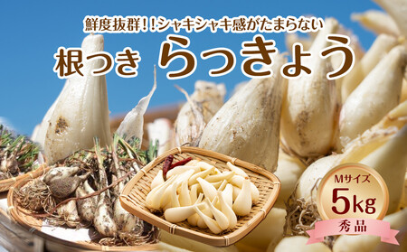 747.ys\zyi`zt傤@GlE5kg@ws@ւ̔zs@2026N5{`6{ɏ\