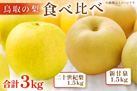 鳥取の梨 食べ比べセット 3kg