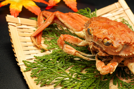 yz󂠂葫܂ꂲp@{CYeKjiZRKj10