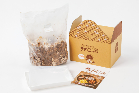 おうちで楽しむ しいたけ栽培キット きのこっ家[きのこ しいたけ 栽培 キット 菌床 1個]
