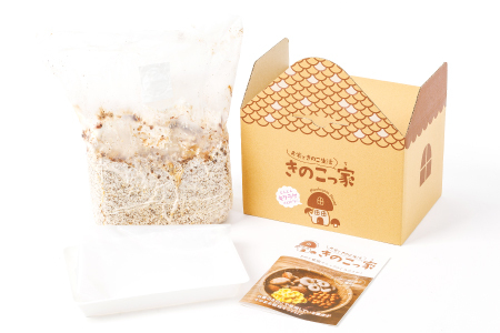 おうちで楽しむ きくらげ栽培キット きのこっ家[きのこ きくらげ 木耳 栽培 キット 菌床 1個]