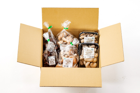 vIII[KjbN̂R퐷(1kg)y 炰 Ђ炽  Ȃ߂ т ܂Ԃ ܂ Iz