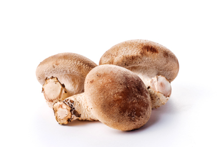 オーガニック菌床しいたけ200g×6袋[椎茸 オーガニック 菌床 野菜 きのこ キノコ]