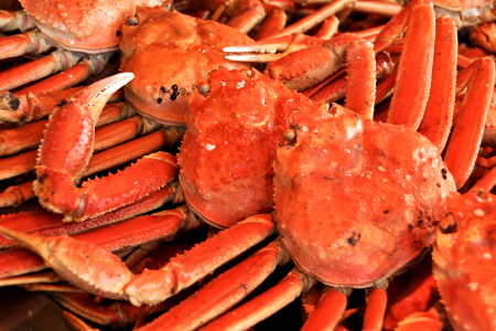 yz󂠂葫܂ꏼtKj@1.5kgO