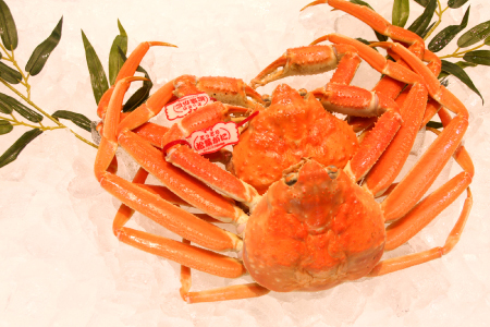 挧Y ^OttKj 700gȏ 2