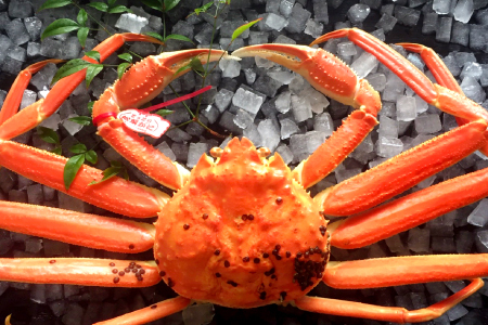 挧Y 󂠂tKj ytI tKj Jj  Kj 󂠂 t Gߌ Jj RA 挧 gÑz