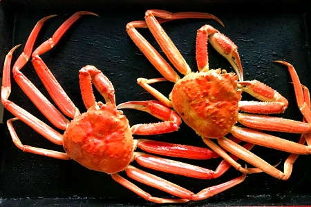 挧Y 󂠂tKj 700gȏ2ytI tKj Jj  Kj 󂠂 t Gߌ Jj RA 挧 `Yz