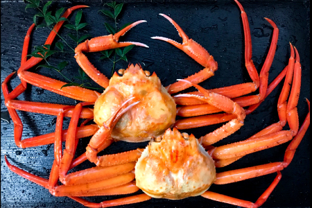 挧Y 󂠂g킢 2yYCKj 킢 gYCKj g킢 Jj  Kj 󂠂 t Gߌ Jj ①z j Ε N v[g