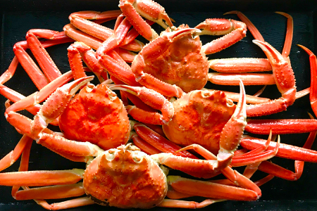 挧Y 󂠂g킢 4yYCKj 킢 gYCKj g킢 Jj  Kj 󂠂 t Gߌ Jj ①z j Ε N v[g