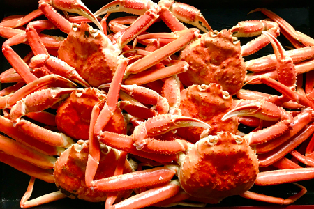 󂠂 g킢Ɂi5`10j3kgyYCKj 킢 gYCKj g킢 Jj  Kj 󂠂 t Gߌ Jj ①z j Ε N v[g