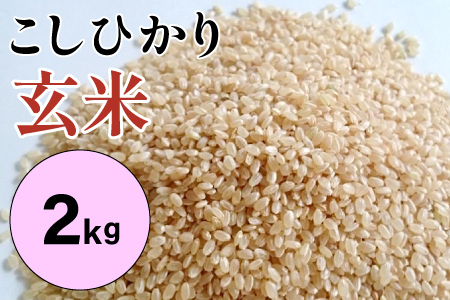 大山の一粒 玄米 2kg