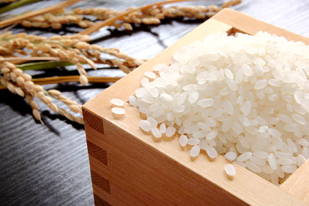 [数量限定]原田農園のこだわり精米 5kg 〜関金の清流で育てた自慢のお米〜