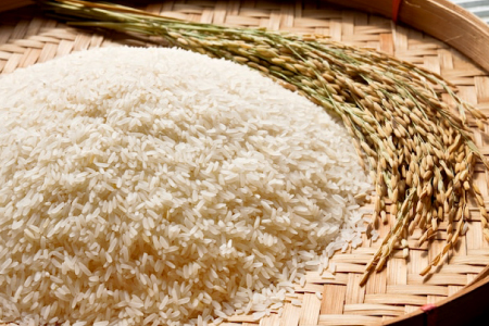 [数量限定]大山の水で育てた関金町産 コシヒカリ 5kg