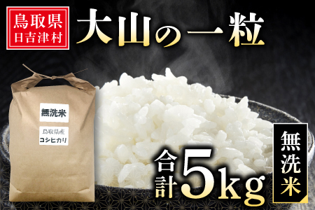 大山の一粒 無洗米 5kg