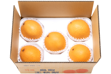 【期間限定】たにがみ農園の王秋 2.5キロ箱　(鳥取県産)