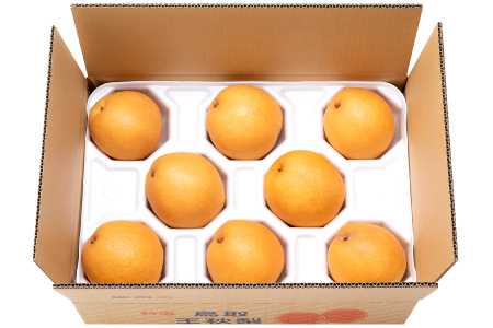 【期間限定】たにがみ農園の王秋 5キロ箱　(鳥取県産)