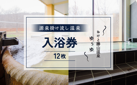 おけと勝山温泉ゆぅゆ入浴券12枚 [ ふるさと納税 人気 おすすめ ランキング 宿泊 温泉 入浴 源泉掛け流し 自然 北海道 置戸町 送料無料 ] OTD003 オンセン