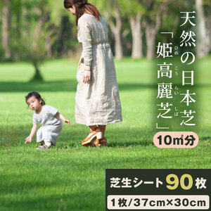天然の日本芝「姫高麗芝」10平方メートル分BOX