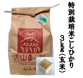特別栽培米こしひかり3kg(玄米)令和5年産新米