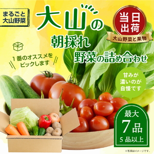 MS-01　新鮮朝採れ野菜　お手ごろセット