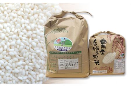 特別栽培米こしひかり(5kg)ともち米(3kg)