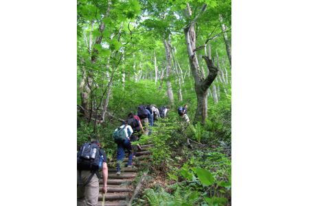 大山トリビア登山(引換券)