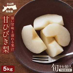 YN-08　甘ひびき梨　5kg