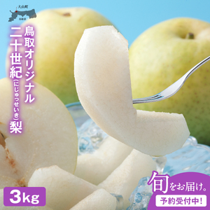 DS-24　二十世紀梨　3kg