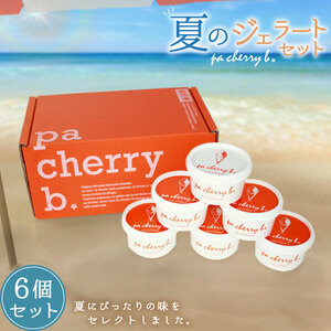 pa cherry b.サマーセレクション6種6個セット