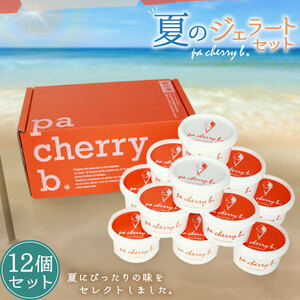 pa cherry b.サマーセレクション12種12個セット