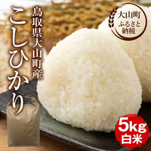 【令和8年10月以降発送新米】MS-97　大山町産こしひかり【大山の一粒】５ｋｇ（白米）