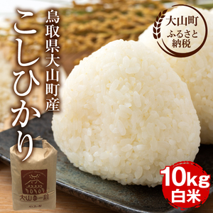 【令和7年10月以降発送新米】MS-98　大山町産こしひかり【大山の一粒】10ｋｇ（白米）