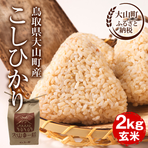 【令和8年10月以降発送新米】MS-105 大山町産こしひかり【大山の一粒】２ｋｇ（玄米）