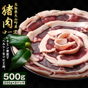 猪肉 ロース 500g(250g×2パック)