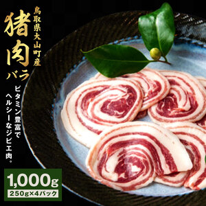 GB-06　猪肉　バラ　1kg（250g×4パック）