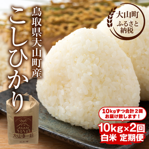 【令和7年10月以降発送新米】MS-102 頒布会（大山町産こしひかり【大山の一粒】白米10ｋｇ×2回）