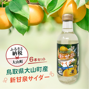 新甘泉サイダー6本セット